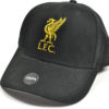 Siltovka Liverpool Liverbird Cierna logo a LFC