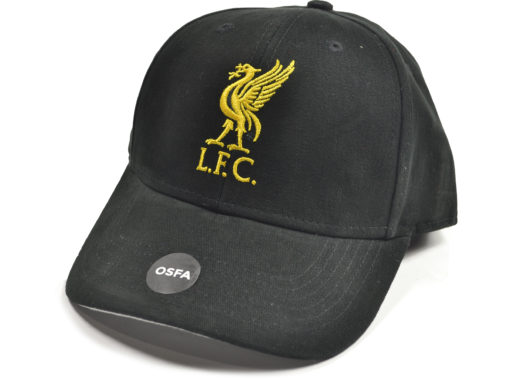 Siltovka Liverpool Liverbird Cierna logo a LFC e1653641716280